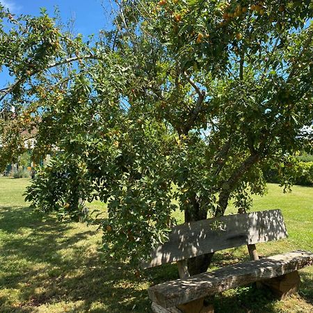 Les Feuilles Jaunes Chantenay-Saint-Imbert Eksteriør bilde